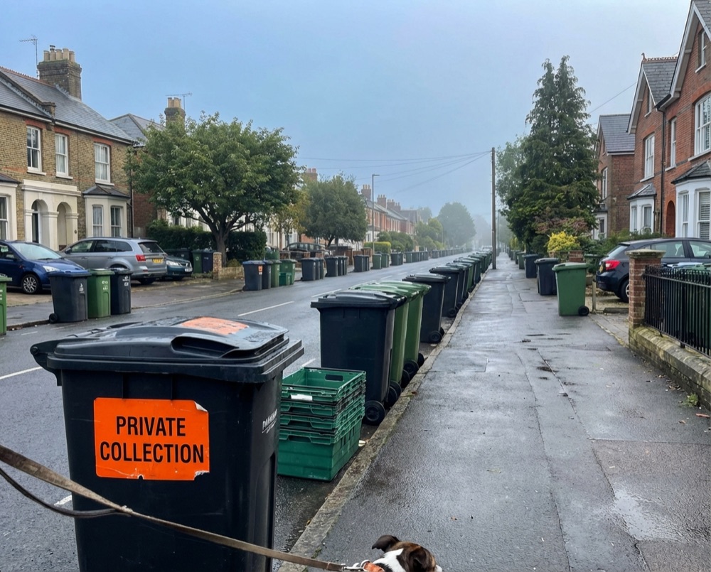 Residential street with bins in East Preston awaiting collection